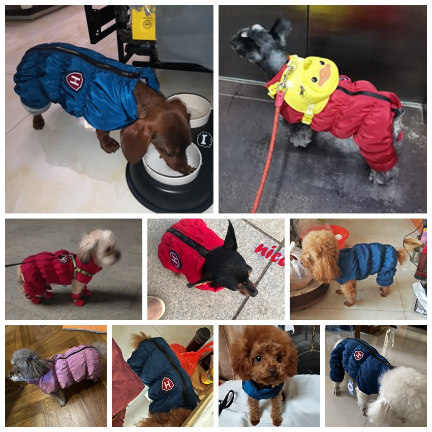 Rits Sneeuw Unisex Hond Waterd - Baby Clothing Zipper recensie en prijs
