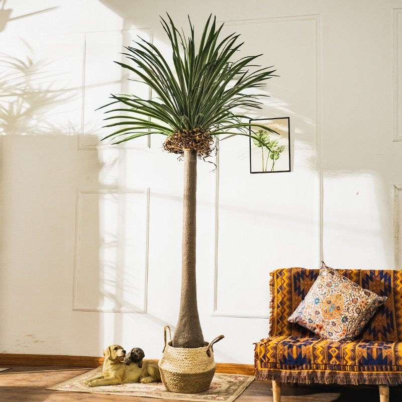 Realistische Dracaena Kunstpla - Baby Clothing Stores recensie en prijs